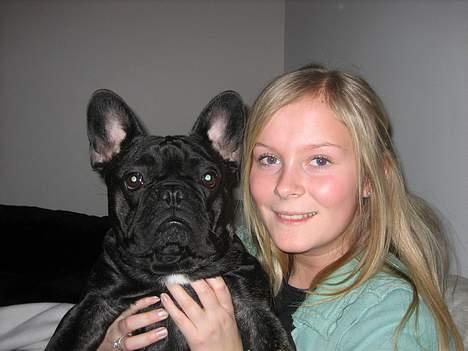 Fransk bulldog BUSTER - mig og mor... billede 5
