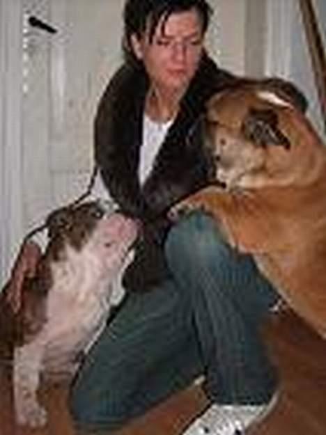 Engelsk bulldog Otto - mig sammen med moar og min lillebror batman billede 3