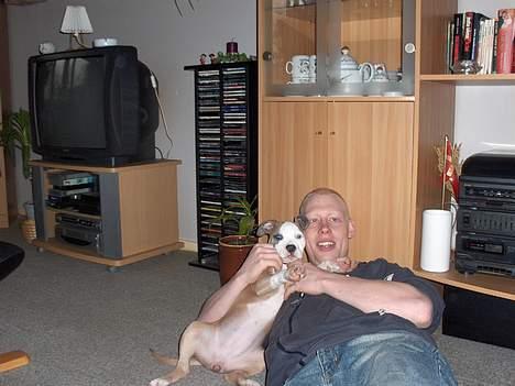 Amerikansk staffordshire terrier o0$chevy$0o hey hey alle  - Mig og far der leger billede 4