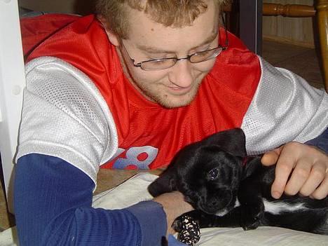 Blanding af racer Miss - Far er dejlig :-) billede 9