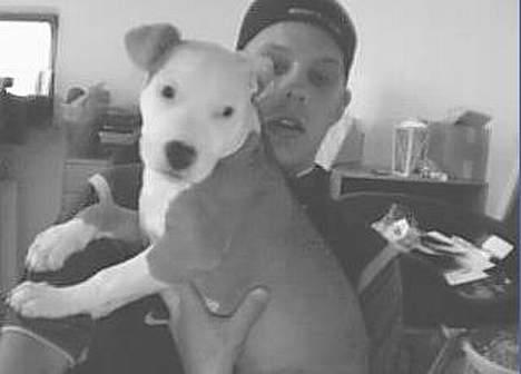 Amerikansk staffordshire terrier ,. Kato ( Ny Ejer "Tina N - Vi holder dk hot lidt endnu ;D  billede 5