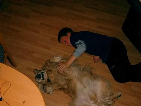 Blanding af racer Max - Det er bare dæjlig billede 6