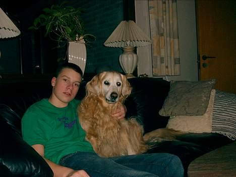 Blanding af racer Max - Det er godt nok forbudt, men jeg kom da herop alligevel billede 8