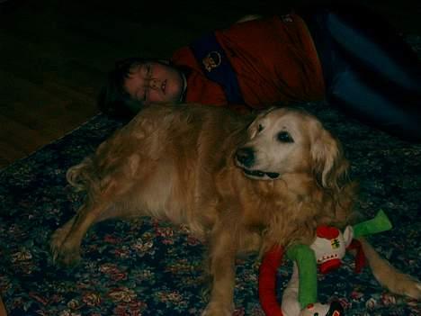 Blanding af racer Max - Så hold jer væk,  hun sover billede 9