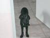 Labrador retriever Chuck