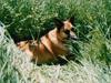 Blanding af racer Ricky<3 R.I.P [ Himmelhund]