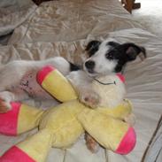 Blanding af racer LILLE PER :)