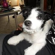 Blanding af racer LILLE PER :)