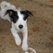 Blanding af racer LILLE PER :)