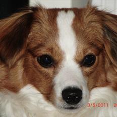 Blanding af racer Karla