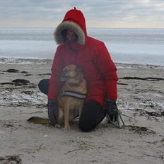 Blanding af racer Kumpel