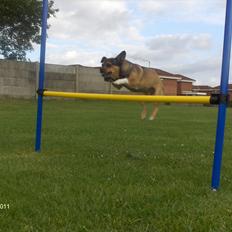 Blanding af racer Mille