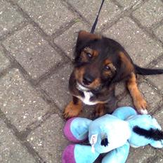 Blanding af racer emil