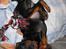 Dvaergpinscher Rødkildes Ferba