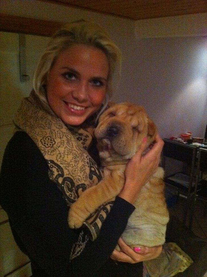 Shar pei Belle - Nybagt hundemor billede 14