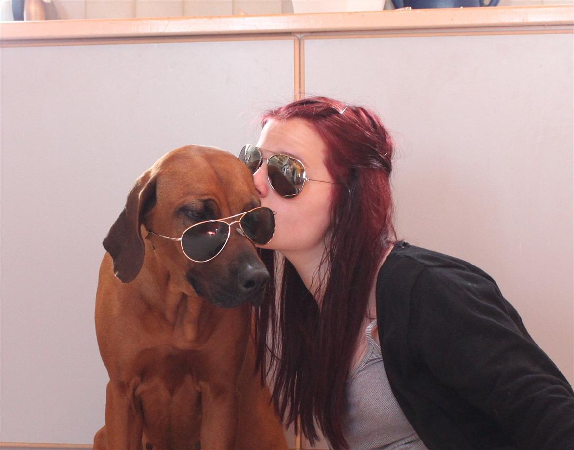 Rhodesian ridgeback (Bhara Bhara) Zibonille - 15. Thi hi.. :D 
Billede taget af mig, på en selvudløser. :D  billede 14