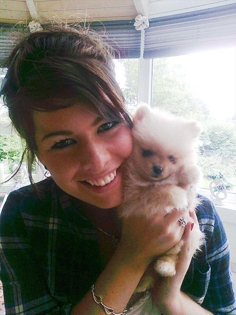 Pomeranian Malekits Lily Lola - Lily og jeg. <3 billede 6