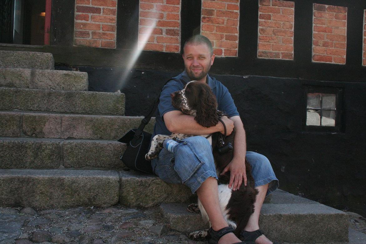 Engelsk springer spaniel Baloo *R.I.P* billede 17