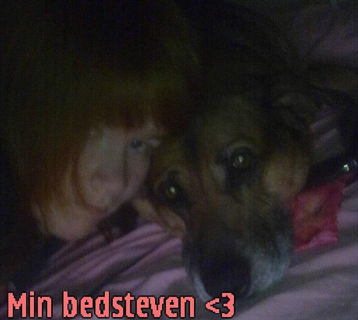 Blanding af racer Karlsen - mig og karlsen. han er som en bedsteven for mig <3 billede 11