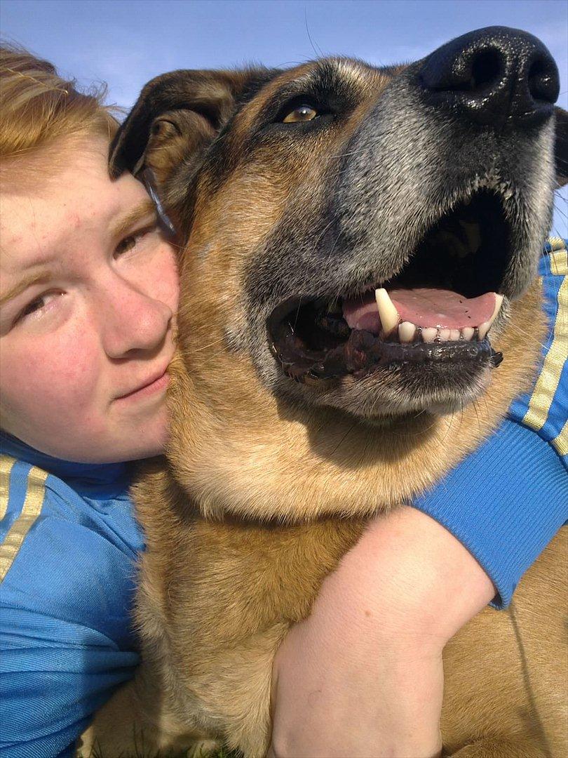 Blanding af racer Karlsen - mig og Karlsen.  billede 12