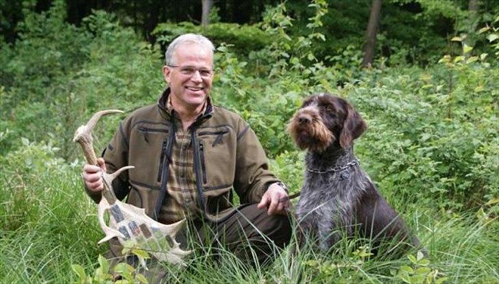 Ruhåret hønsehund Capella billede 13