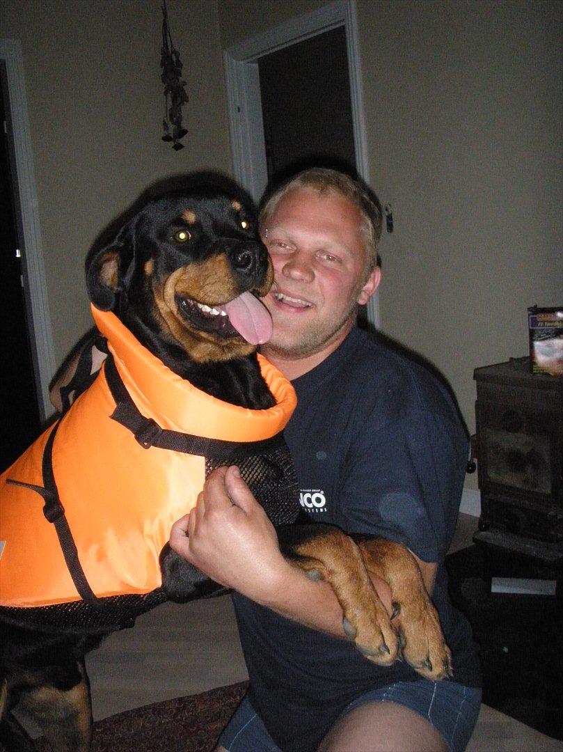 Rottweiler Noa Andersen billede 11