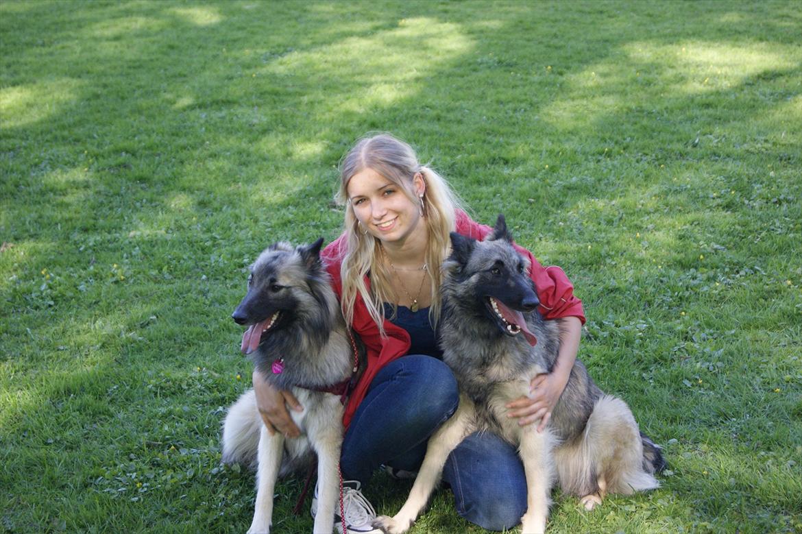 Tervueren Sascha - Se hvor dejlige vi alle er. Sascha og hendes raceven. billede 6