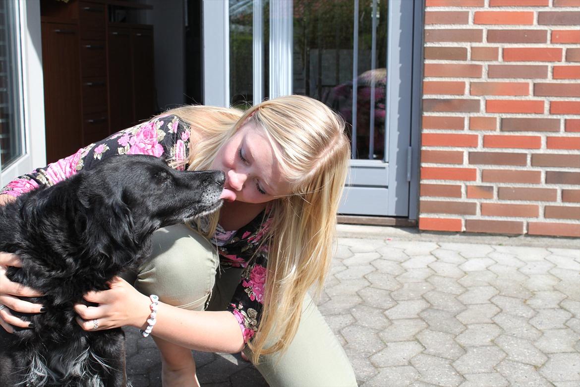 Blanding af racer Locky <3 r.i.p :'( - Taget cirka en halv time inden hun blev aflivet :'( Jeg vil altid elske dig! billede 1