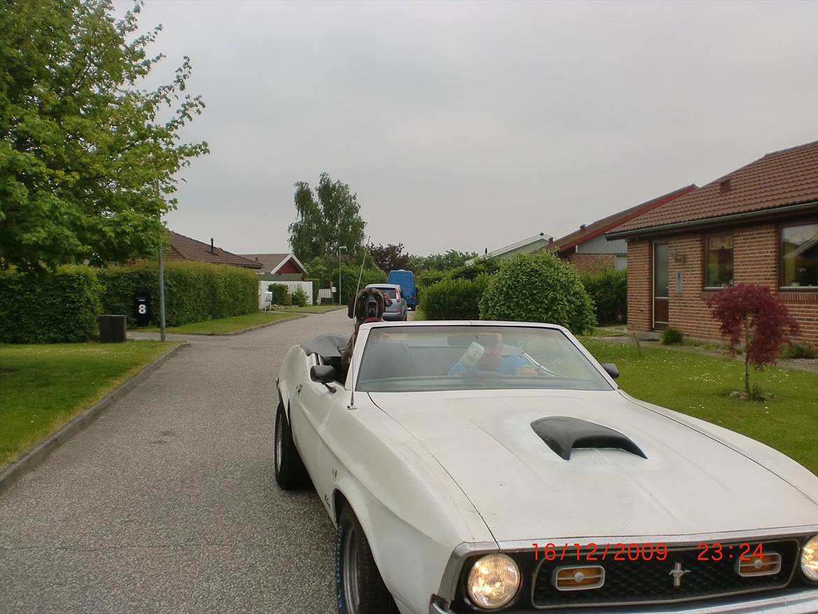 Blanding af racer bølle billede 17