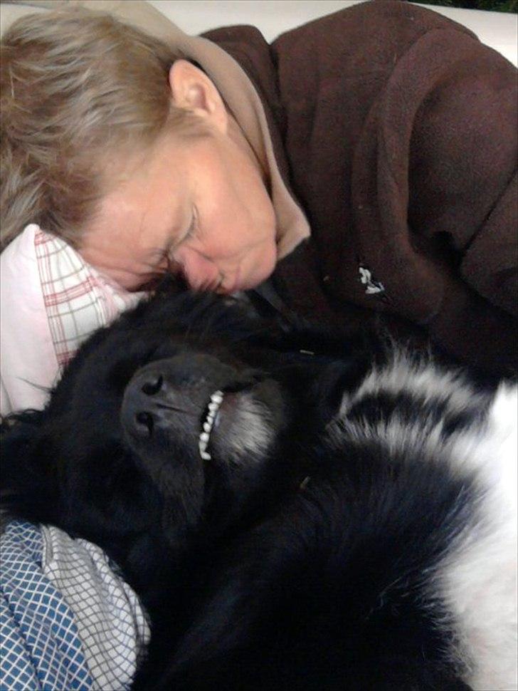 Blanding af racer Nønne billede 8