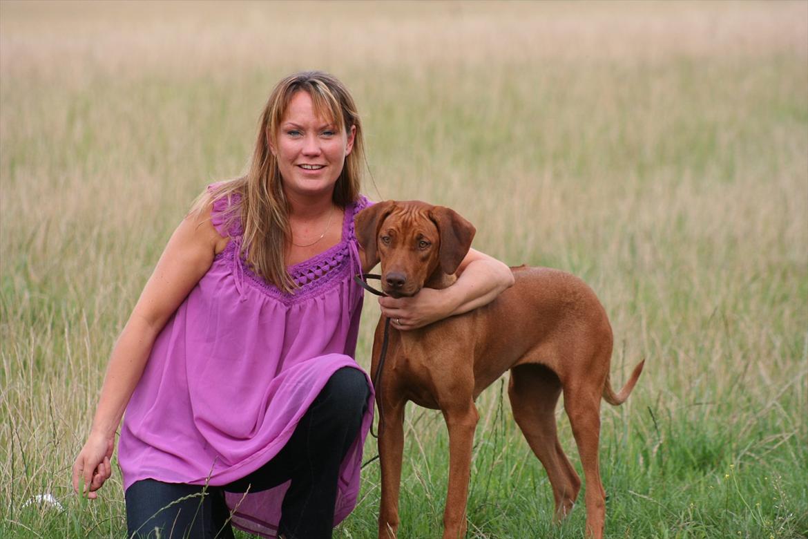 Rhodesian ridgeback Kianga billede 3