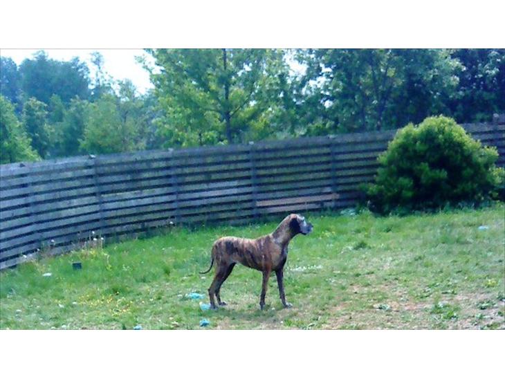 {{currentPhoto.altText}} billede {{currentPhoto.number}}