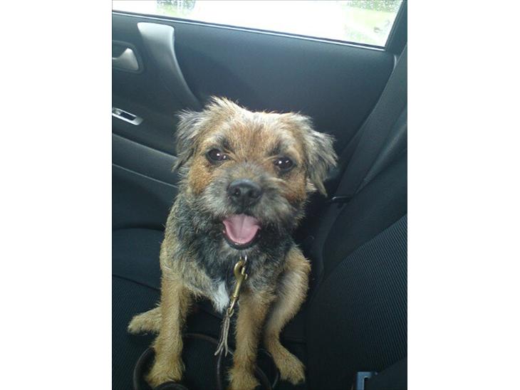 {{currentPhoto.altText}} billede {{currentPhoto.number}}