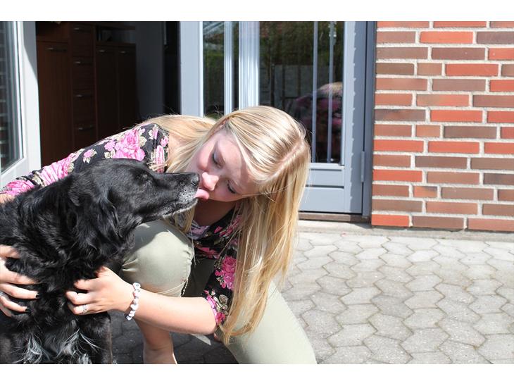 {{currentPhoto.altText}} billede {{currentPhoto.number}}