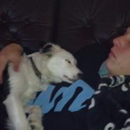 Blanding af racer Tulle -ikke min mere