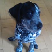 Blanding af racer Tilde 