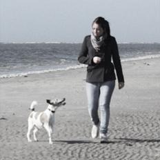 Glathåret foxterrier Sille - R.I.P min lille skat