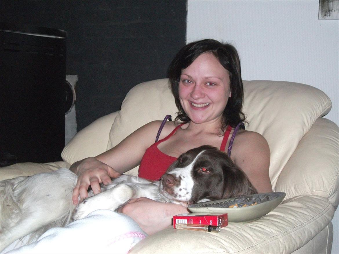 Field Trial spaniel Kissy billede 9