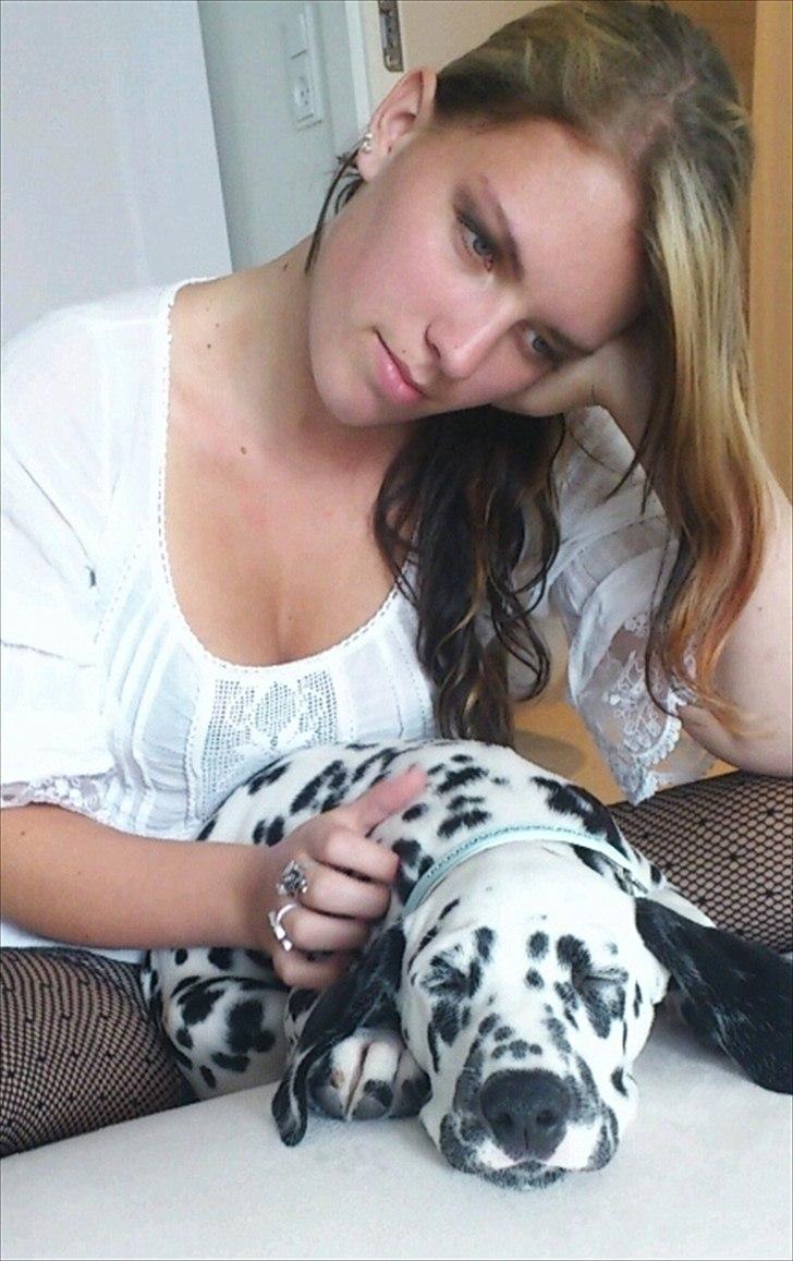 Dalmatiner Neo Aka Frindly Frodo  - På besøg i glostrup. 
Stolen er bare så dejlig..  billede 4