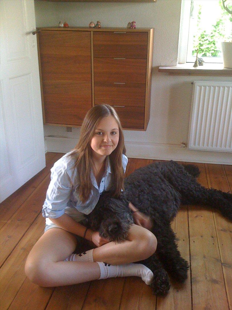 Bouvier des flandres Buffer - Buffer og jeg. Et af vores sidste billeder sammen. billede 11