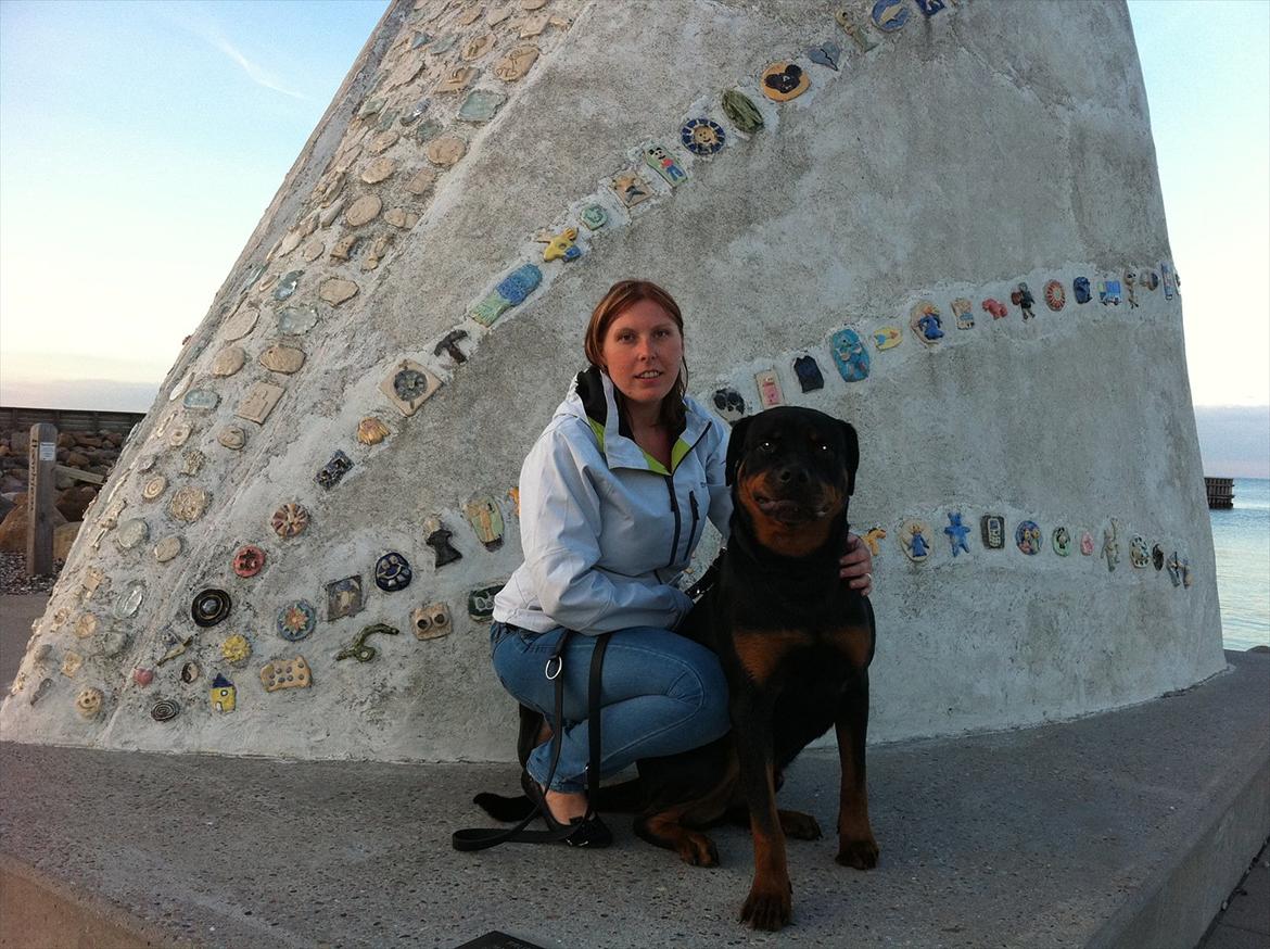 Rottweiler R.I.P Kato billede 15