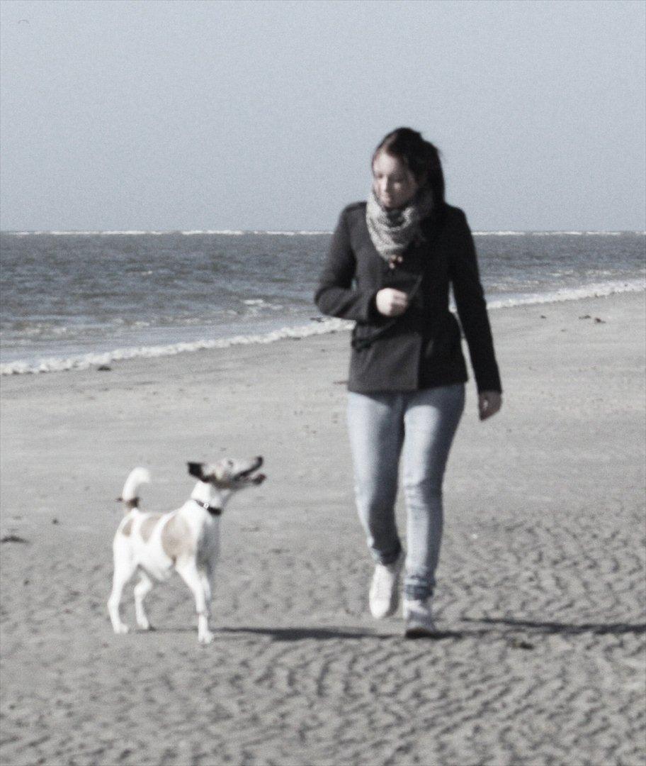 Glathåret foxterrier Sille - R.I.P min lille skat - Mig og Sille skatten på stranden :-) billede 1