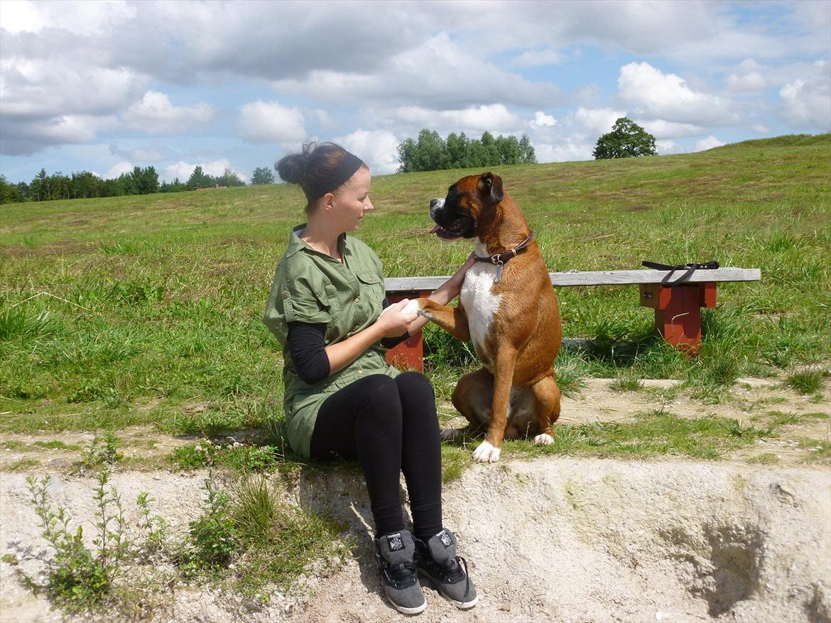 Boxer Thilo - 26/7-2011. Mig og Thilo. billede 3