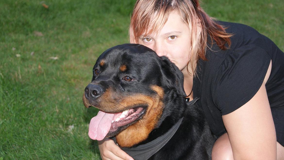 Rottweiler V. Hause Eisenguard Eike - Min søs krammer Ekie :P De er så gode venner :P billede 18