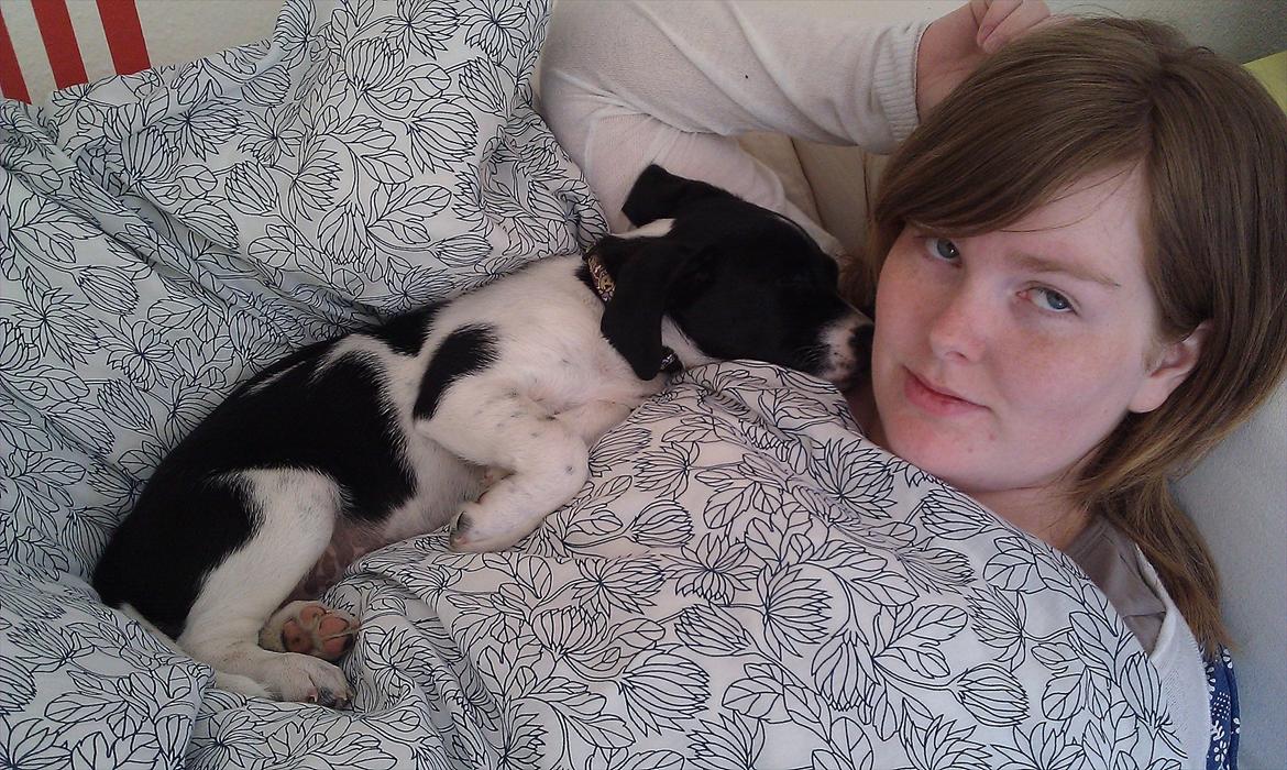 Blanding af racer enya billede 4