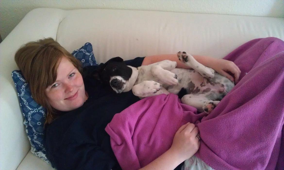 Blanding af racer enya billede 5