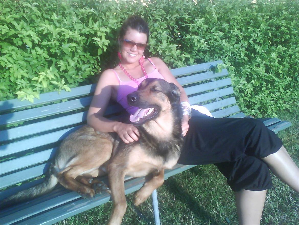 Blanding af racer Zar (Zarzi)<3 - Så holder vi lige pause på bænken! hehe billede 6