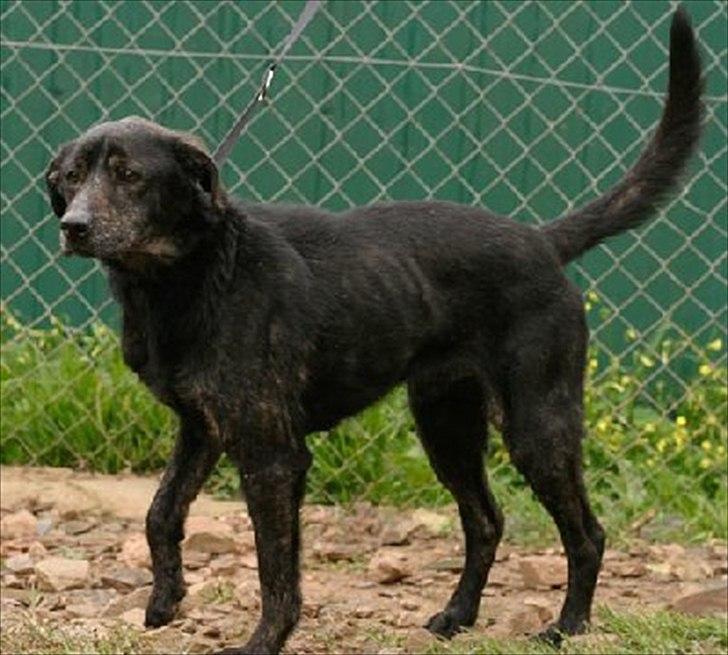 Blanding af racer Geof - Da han var på internat i spanien. billede 3