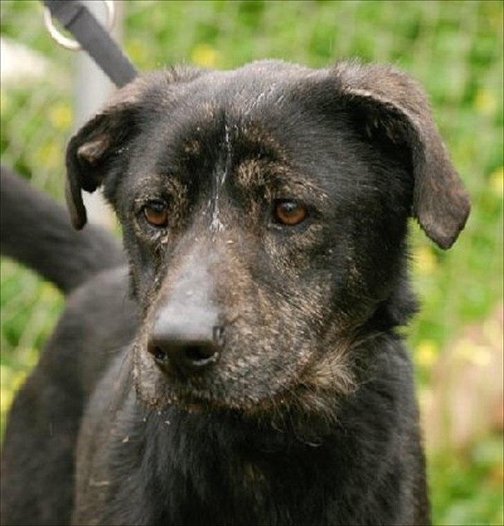 Blanding af racer Geof - På internat i spanien billede 4