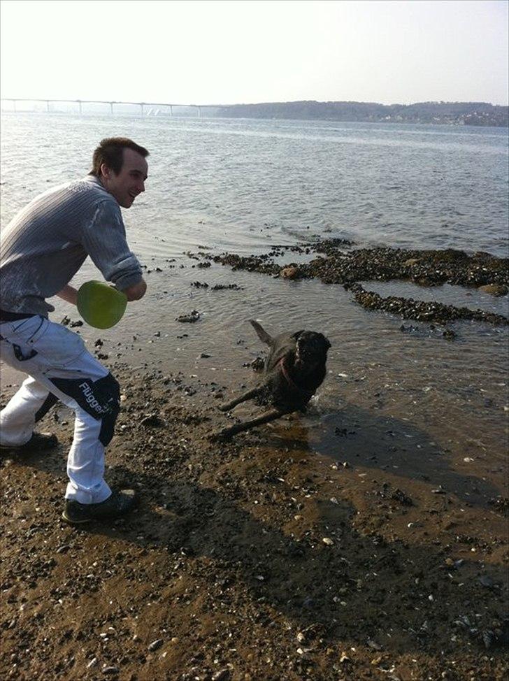 Blanding af racer Geof - Frisbee :) billede 15